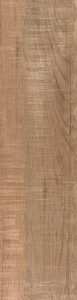 Northwind Brown 9x36